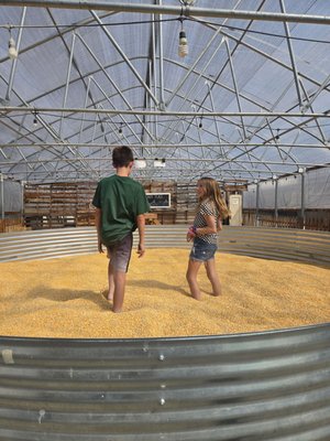 Packer Orchards And Farm Place by null