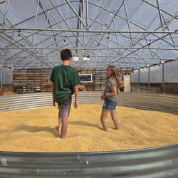 Packer Orchards & Farm Place - Corn bin