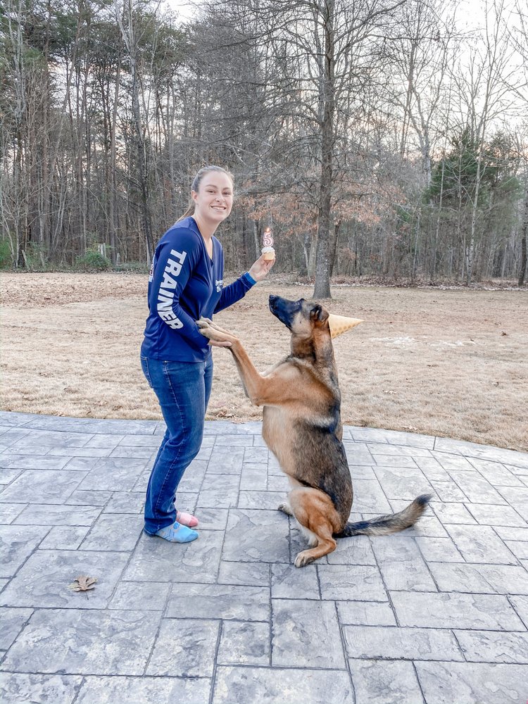 OFF LEASH K9 TRAINING CHARLOTTE Updated September 2024 30 Photos