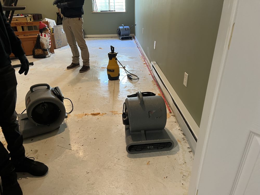 Slide of Scavello Restoration