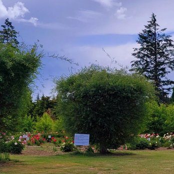 Brooks Gardens Peonies - Nurseries & Gardening Near Me - Brooks, Oregon
