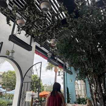 Marisi - Ambiance - Italian Near Me - La Jolla, California Marisi - Ambiance - Italian Near Me - La Jolla, California