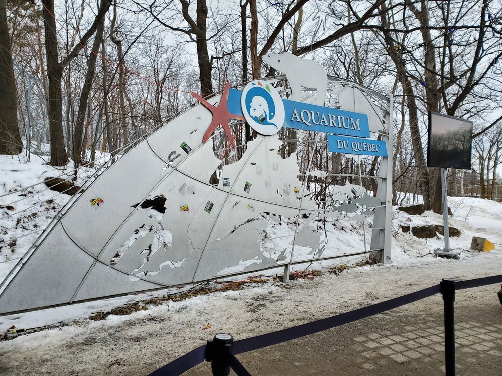 Aquarium Du Quebec Closed 240 Photos 43 Reviews Aquariums 1675 Avenue Des Hotels Quebec Qc Phone Number