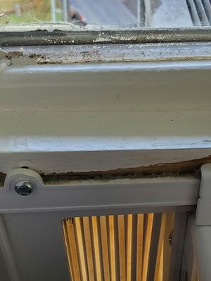 The Lakefront Anchorage by null