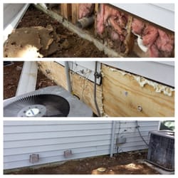 Charleston Premier Workz - Rot repair