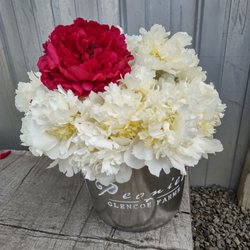 Peonies at Glencoe Farms - Peonies at Glencoe Farms