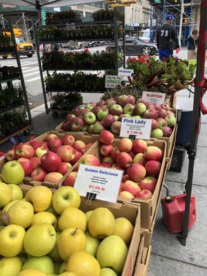 City Hall Park Greenmarket by null