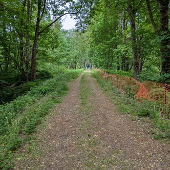Whitehorse Trail - Hiking Near Me - Darrington, Washington Whitehorse Trail - Hiking Near Me - Darrington, Washington