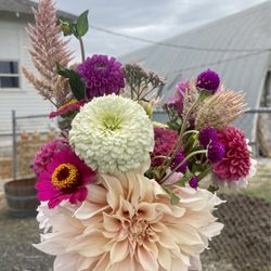 Eastside Schoolhouse Gardens