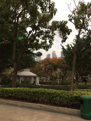 Kowloon Walled City Park by null