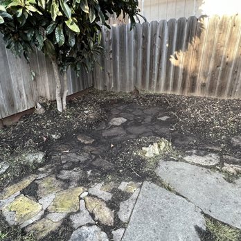 Kevin's Gardening Service - Back corner uncover the area had DEEP debris covering. - Landscaping Near Me Kevin's Gardening Service - Back corner uncover the area had DEEP debris covering. - Landscaping Near Me