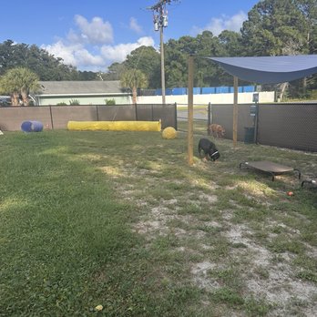 Salty Dogs Cafe and Bark Bar - Agility and shade - Bars Near Me - Supply, North Carolina Salty Dogs Cafe and Bark Bar - Agility and shade - Bars Near Me - Supply, North Carolina