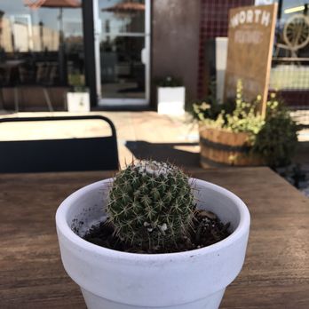 Worth Takeaway - Breakfast & Brunch Near Me - Mesa, Arizona Worth Takeaway - Breakfast & Brunch Near Me - Mesa, Arizona