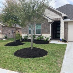 the front yard of a home - The image shows a residential front yard with two trees, mulched flower beds, and a concrete driveway leading to a garage, in front of a brick house.