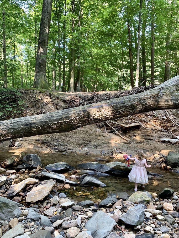 DONALDSON RUN PARK Updated July 2024 32 Photos 4020 30th St N