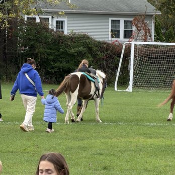 Bishop Field And Playground - Parks Near Me - Quincy, Massachusetts