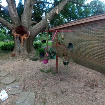 Jay Eubanks Tree Service - Tree Services Near Me - Mobile, Alabama Jay Eubanks Tree Service - Tree Services Near Me - Mobile, Alabama
