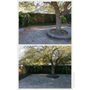 Photo of Candler lawn Service