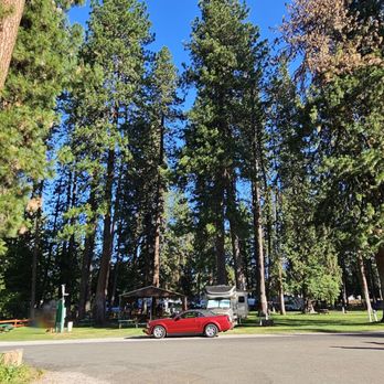 McCloud RV Resort - Inside the park - Campgrounds Near Me - McCloud, California