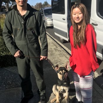 PowerHouseK9 - Pet Training Near Me PowerHouseK9 - Pet Training Near Me