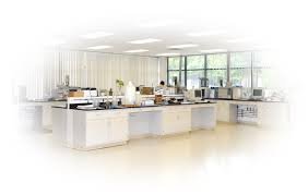 Long Island Analytical Laboratories - mold inspector in Holbrook, NY