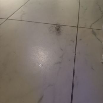 Hotel Beauden, Autograph Collection - Hair ball upon entry? We are all blondes..... - Hotels Near Me - Orlando, Florida Hotel Beauden, Autograph Collection - Hair ball upon entry? We are all blondes..... - Hotels Near Me - Orlando, Florida