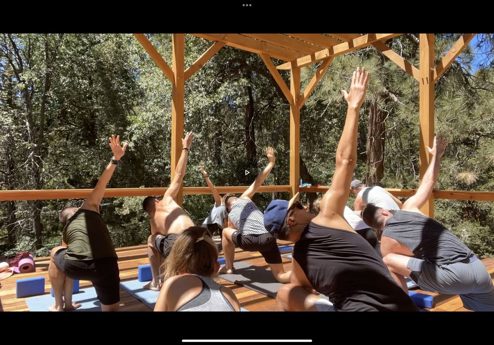 Lalitanand Yoga Logo