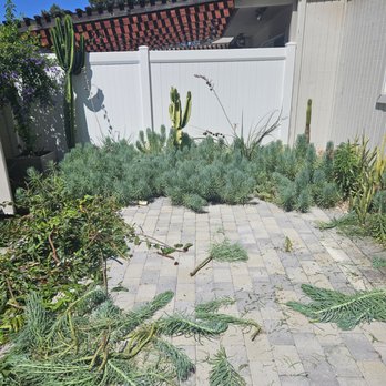 Precision Wave Co - Pressure Washers Near Me - Los Angeles, California Precision Wave Co - Pressure Washers Near Me - Los Angeles, California