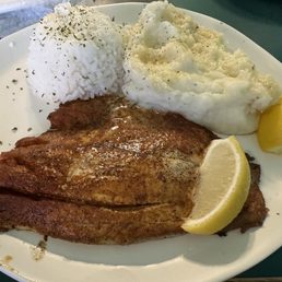 Barramundi Seabass with steamed rice and garlic mashed potatoes Barramundi Seabass with steamed rice and garlic mashed potatoes