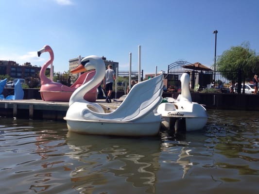 Asbury Park Pedal Boats by null