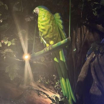 Rainforest Cafe - American Near Me - Gurnee, Illinois Rainforest Cafe - American Near Me - Gurnee, Illinois