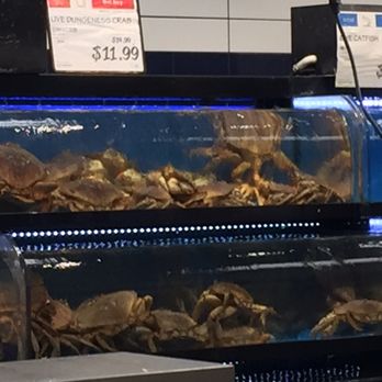 H Mart - Chicago - These guys don't know they are dinner - International Grocery Near Me - Chicago, Illinois H Mart - Chicago - These guys don't know they are dinner - International Grocery Near Me - Chicago, Illinois