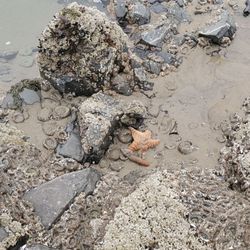 Arcadia Beach State Recreation Site