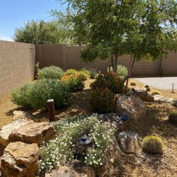 Tucson Professional Landscaping - Another view of front yard