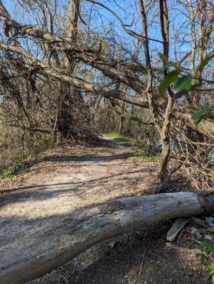 Bethany Lakes Park by null