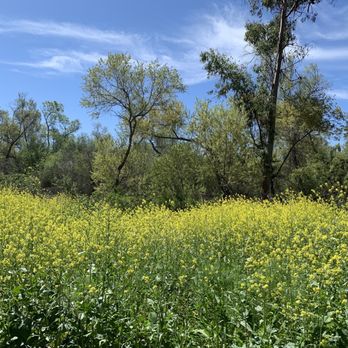 Guajome Regional Park - View in the Spring - Parks Near Me - Oceanside, California Guajome Regional Park - View in the Spring - Parks Near Me - Oceanside, California