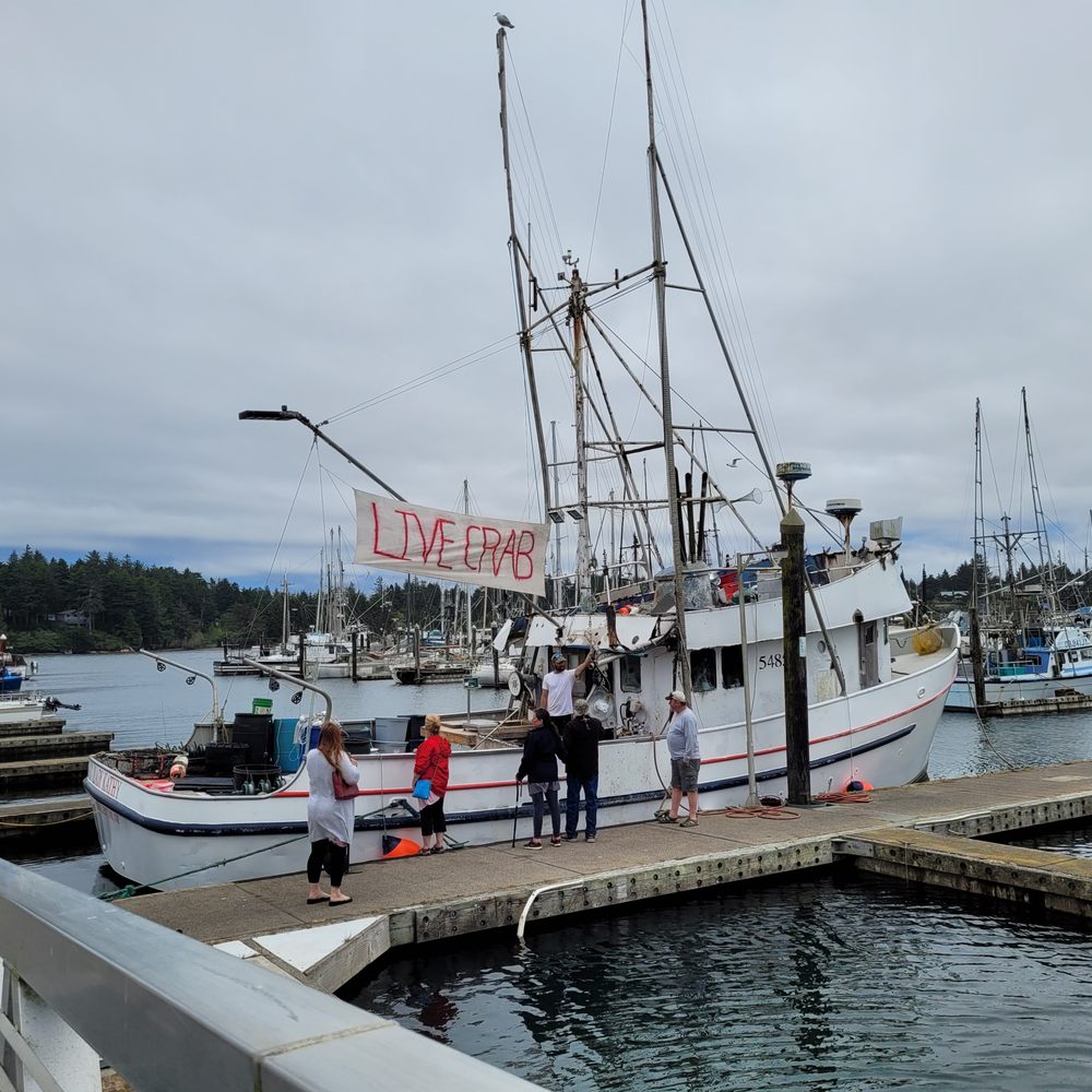 FV Lady Kathy - Dock B at the Charleston Marina - Seafood Markets Near Me - Charleston, Oregon FV Lady Kathy - Dock B at the Charleston Marina - Seafood Markets Near Me - Charleston, Oregon