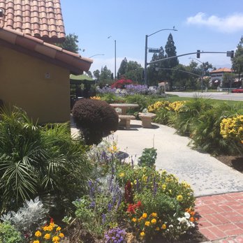 Mimi's Cafe - Pretty flower garden - Breakfast & Brunch Near Me - Rancho Cucamonga, California Mimi's Cafe - Pretty flower garden - Breakfast & Brunch Near Me - Rancho Cucamonga, California