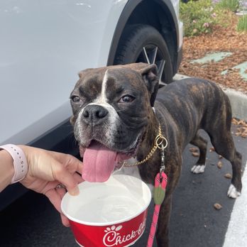 Chick-fil-A - Happy dogo - Fast Food Near Me - Walnut Creek, California