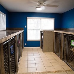 Sandy Oaks Kennel, Daycare and Spaw - All kennels are indoor and climate controlled.