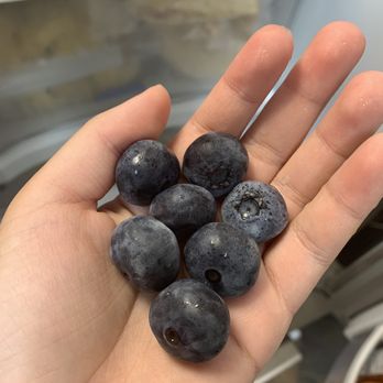 Parlee Farms - large blueberries - Farmers Market Near Me - Tyngsboro, Massachusetts