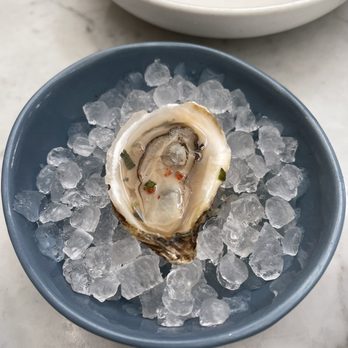 Paradiso - Lavender oyster - Bars Near Me - Dallas, Texas