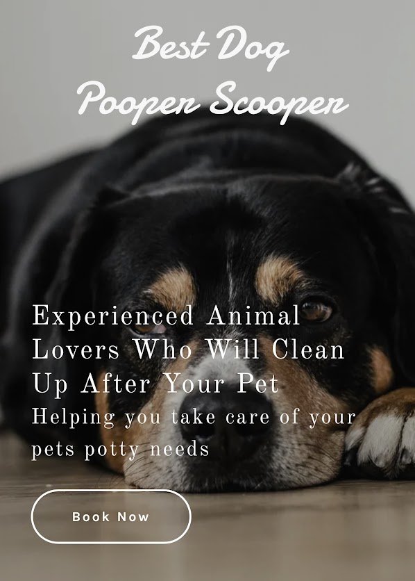 BEST DOG POOPER SCOOPER Request Information Brentwood, California Pet Waste Removal Yelp
