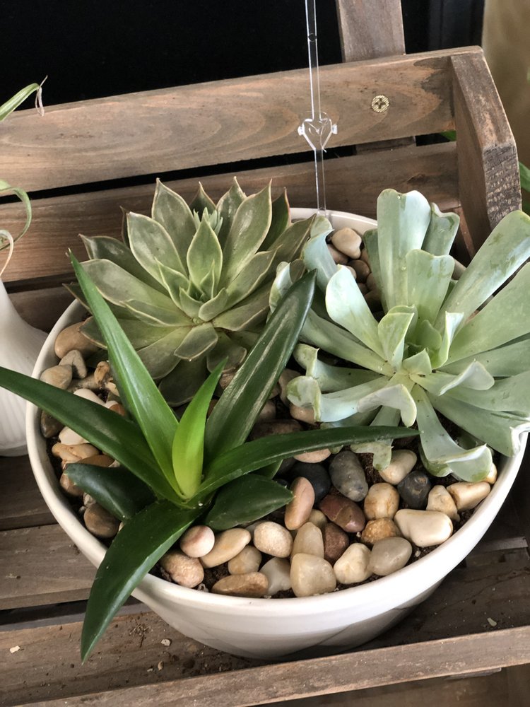 GARDEN GATE FLORIST Updated October 2024 528 N Jefferson St, Mexico