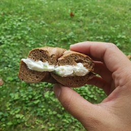 Mini Bagel! Mini Bagel!