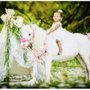 Photo of Peace Love & Ponies