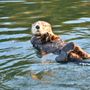 Fishers Island Adventures