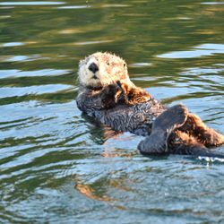 Fishers Island Adventures