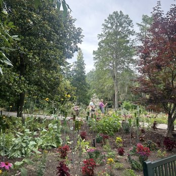 Brookgreen Gardens - Museums Near Me - Murrells Inlet, South Carolina Brookgreen Gardens - Museums Near Me - Murrells Inlet, South Carolina