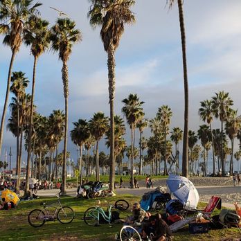 Venice Statepark - Beaches Near Me - Venice, California Venice Statepark - Beaches Near Me - Venice, California